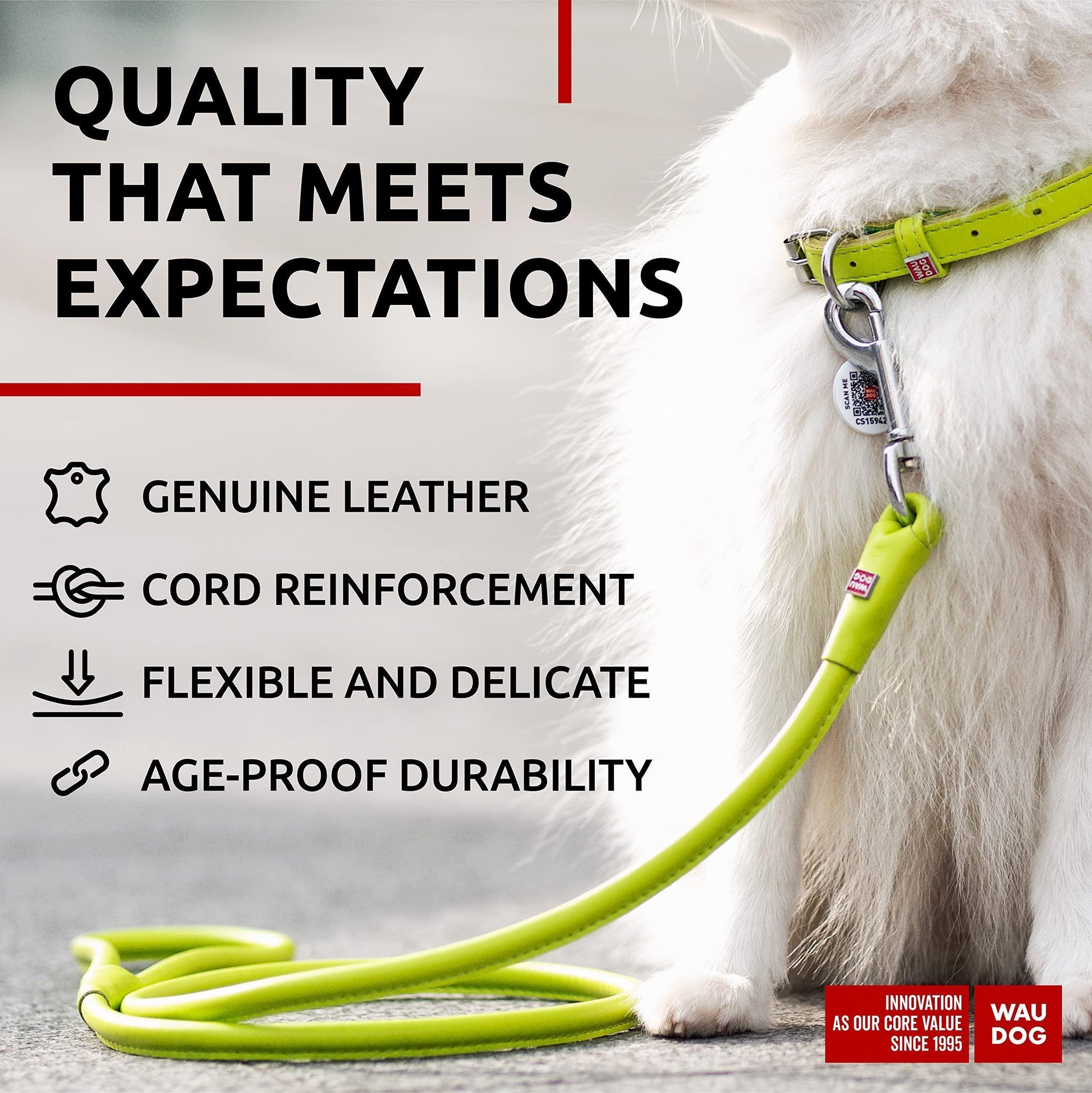 WAUDOG Rolled Leather Dog Leash 4Ft * 0.3 in for Small Medium and Large Dogs Heavy Duty Leather Puppy Leash for Outdoor Walking Running Training Strong Dog Leashes for Large Breed Dogs (Green)