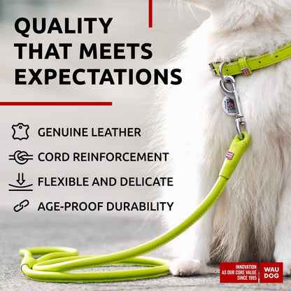 WAUDOG Rolled Leather Dog Leash 4Ft * 0.3 in for Small Medium and Large Dogs Heavy Duty Leather Puppy Leash for Outdoor Walking Running Training Strong Dog Leashes for Large Breed Dogs (Green)