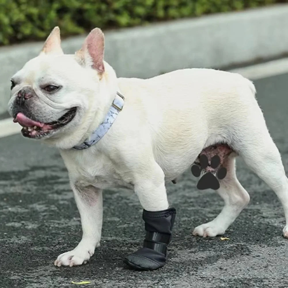 New Anti-lick Dog Paw Protection Boot Post Surgical Wound Recovery Dog Paws Protector Waterproof Pet Supplies