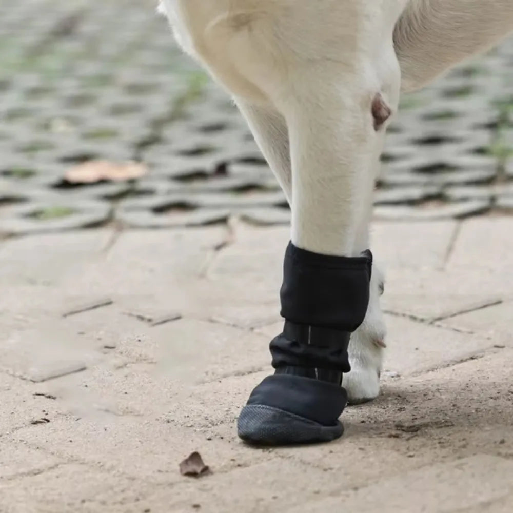 New Anti-lick Dog Paw Protection Boot Post Surgical Wound Recovery Dog Paws Protector Waterproof Pet Supplies