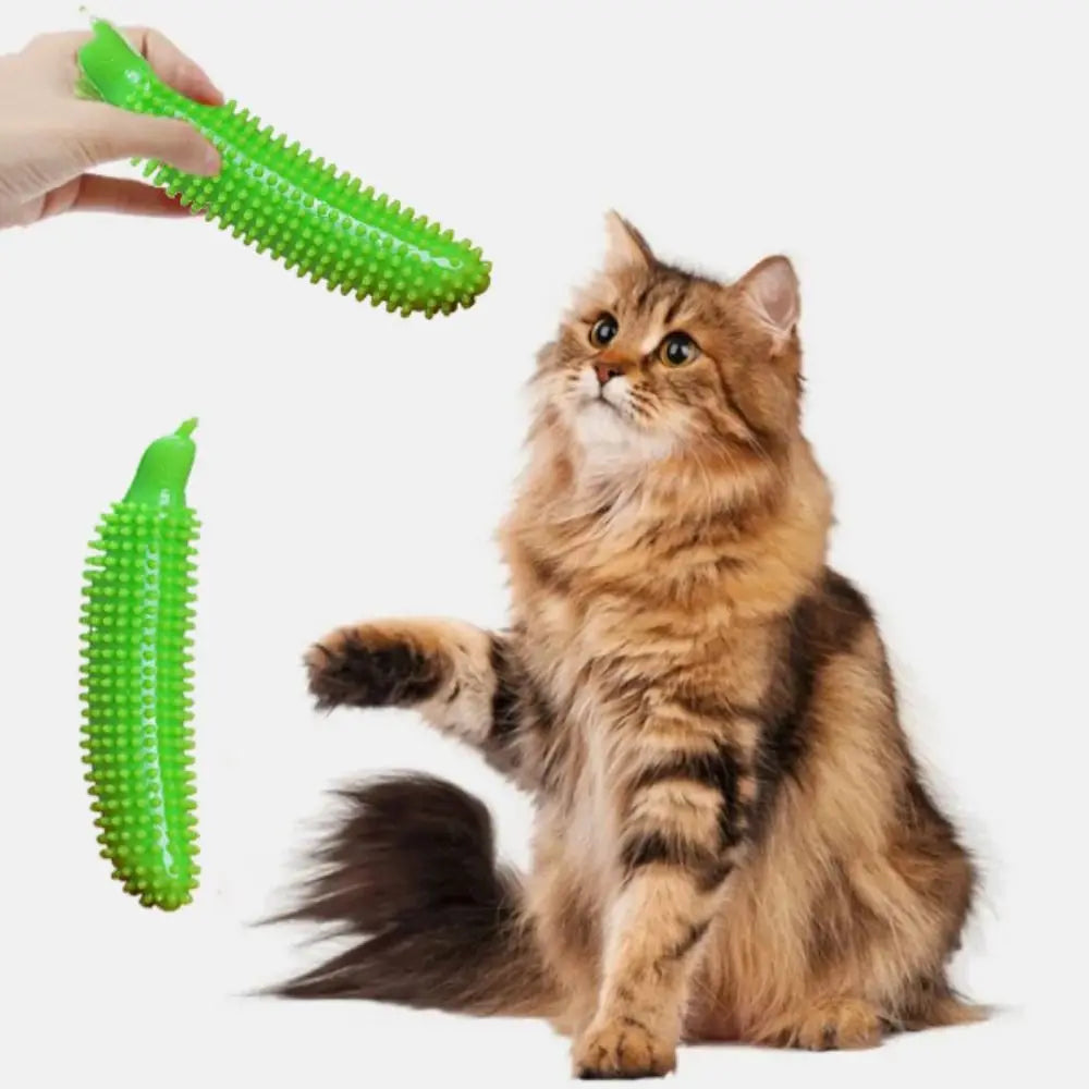 Cucumber Shape Dog Teeth Grinding Stick Bite Resistant TPE Dog Chew Toy Wear Resistant Pet Molar Stick Teeth Cleaning