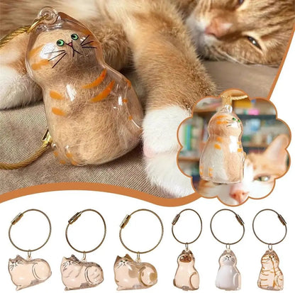 Cat Fur/Dog Hair Memorial Charm Resin Keepsake Capsule for Pet Hair Portable Keychain Pendant for Hair Rainbow Bridge Pendant