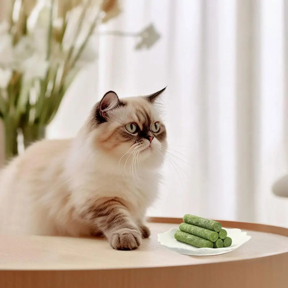 1/2/3bag Cat Grass Teeth Grinding Stick Pet Snacks Cat Hair Cat Mild Baby Eat Ready Teeth Hairball Sticks Cleaning To Removal