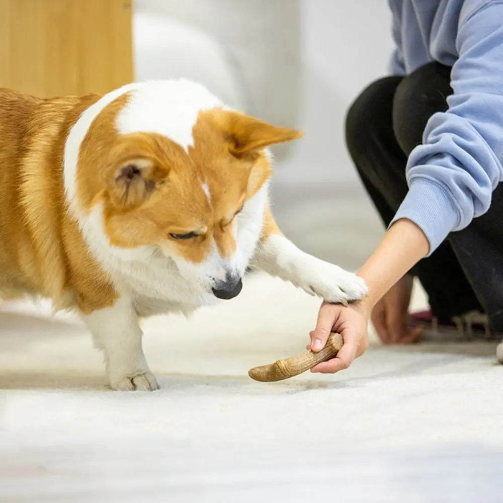 Creative Dog Chew Stick Bone Shape Bite Resistant Puppy Molar Toys Wood Natural Texture Dog Interactive Toys Relieve Boredom