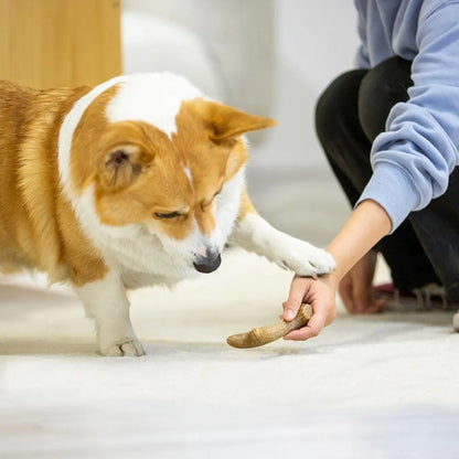 Creative Dog Chew Stick Bone Shape Bite Resistant Puppy Molar Toys Wood Natural Texture Dog Interactive Toys Relieve Boredom