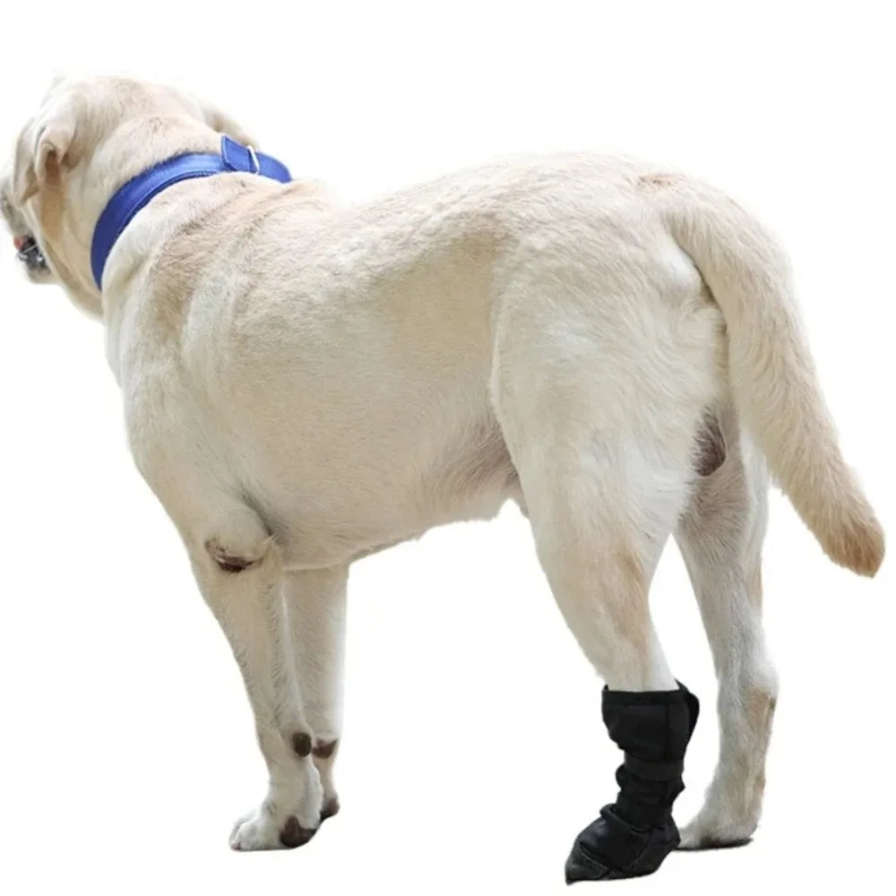 New Anti-lick Dog Paw Protection Boot Post Surgical Wound Recovery Dog Paws Protector Waterproof Pet Supplies
