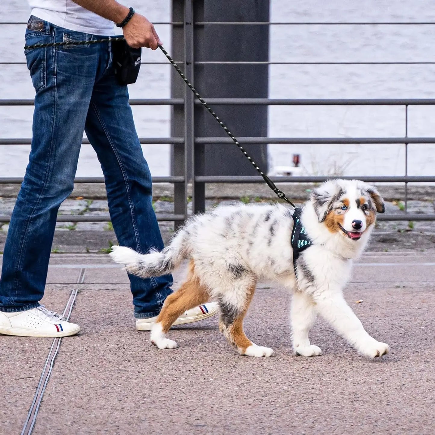 2M Pet Dog Leash with Soft Padded Handle Highly Reflective Dog Rope for Night Walking Suitable for Small Medium and Large Dogs